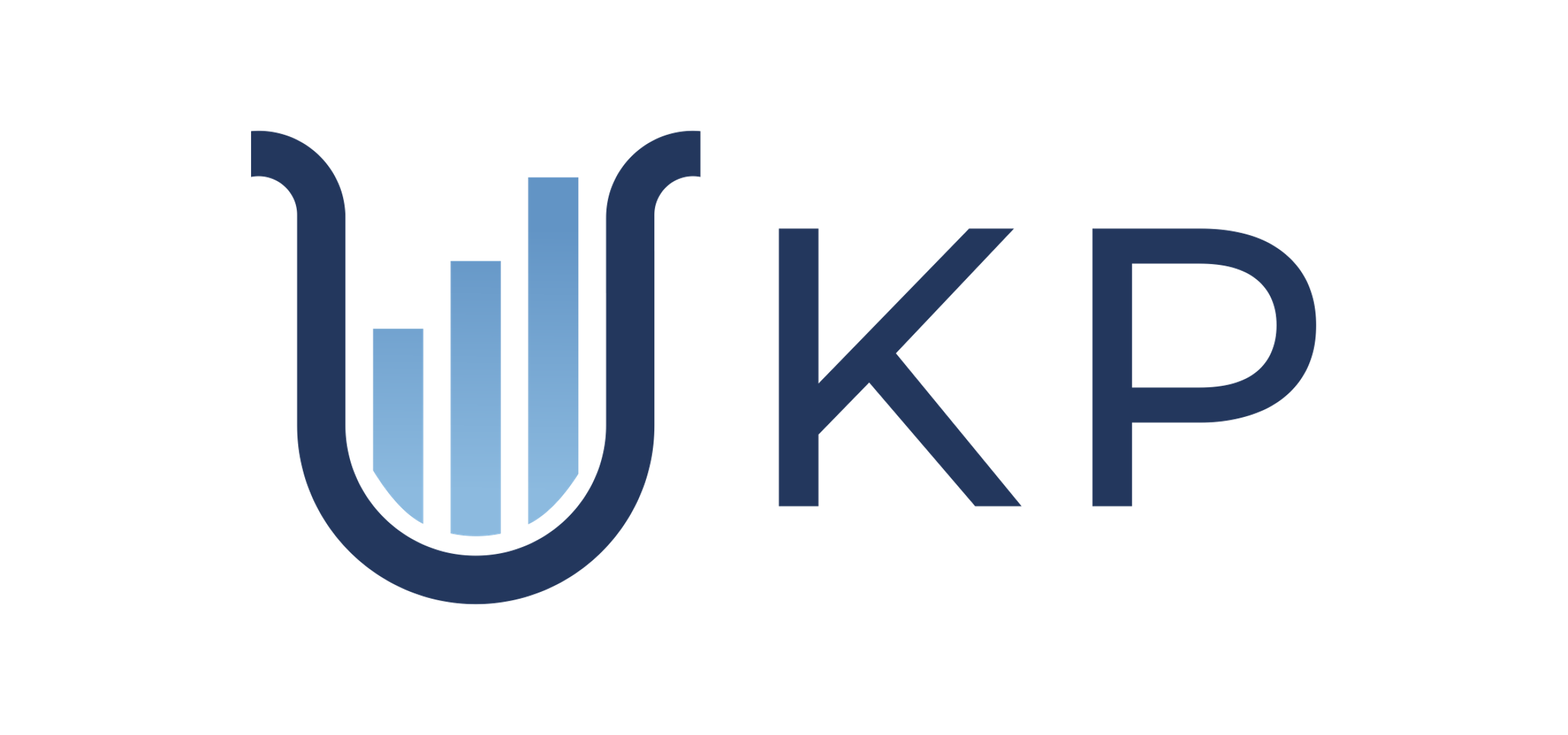 Kinor Partners