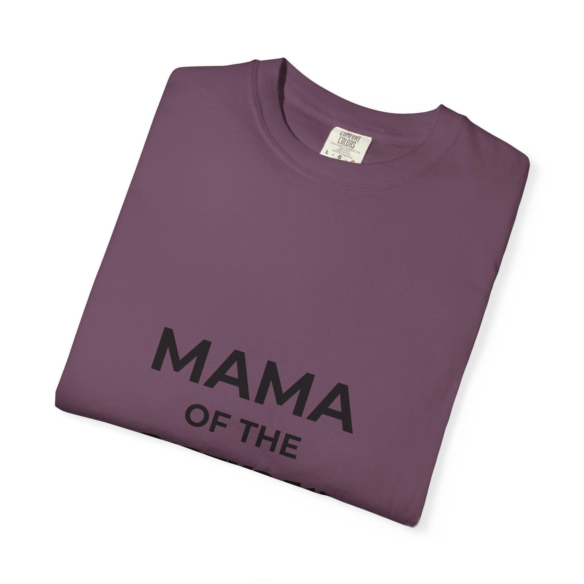 Mama of the Birthday Dude T-Shirt
